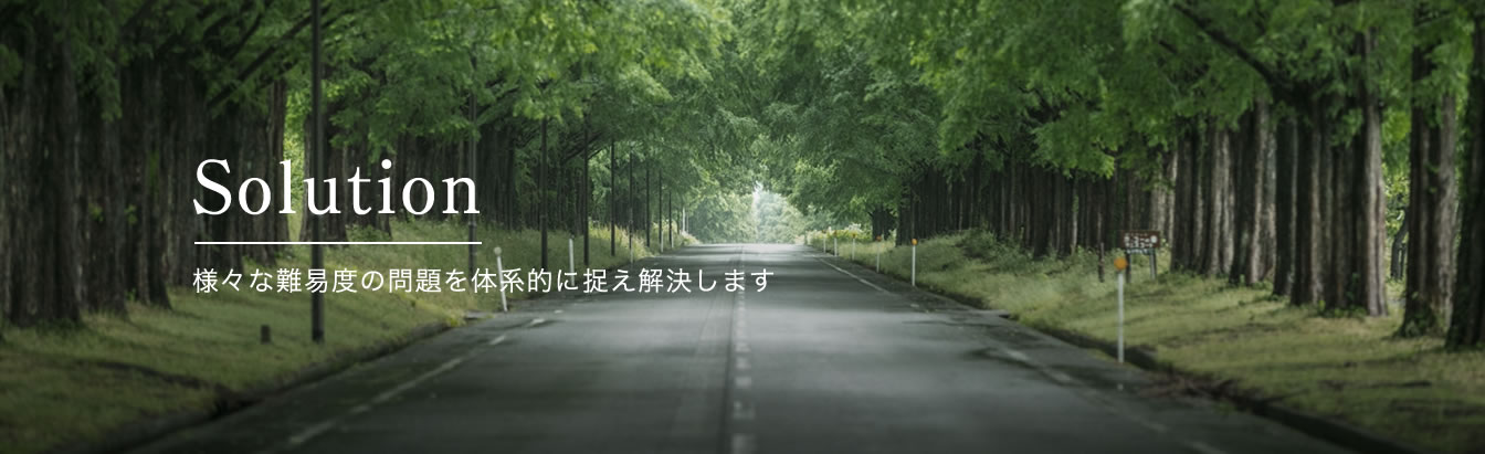 Solution - 様々な難易度の問題を体系的に捉え解決します