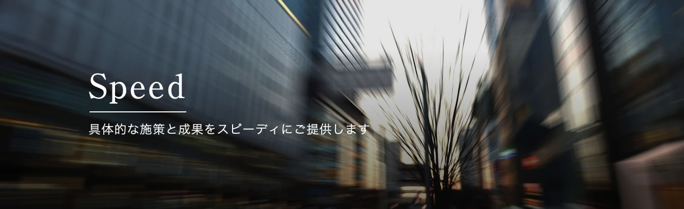 Speed - 具体的な施策と成果をスピーディにご提供します