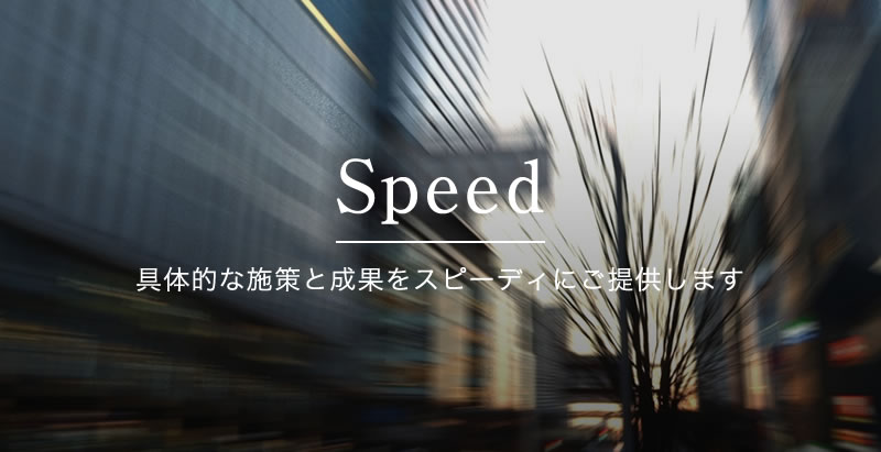 Speed - 具体的な施策と成果をスピーディにご提供します